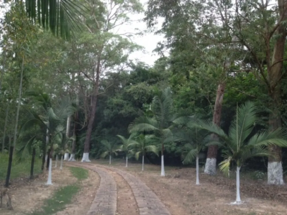 Sítio, 17 quartos, 5 hectares - Foto 4
