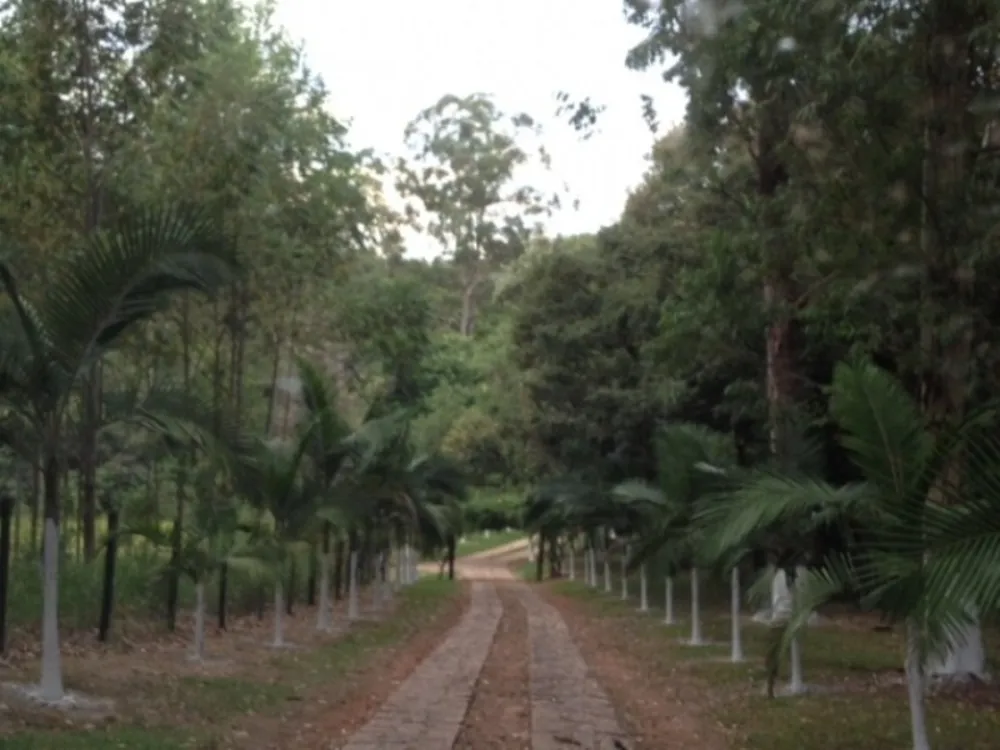 Sítio, 17 quartos, 5 hectares - Foto 3