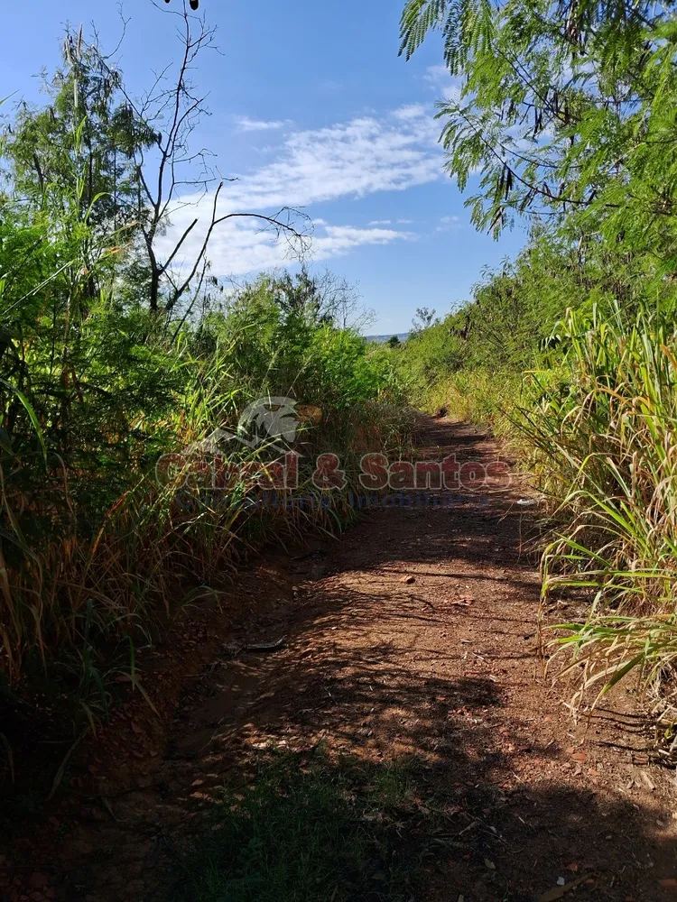 Terreno, 15 hectares - Foto 7