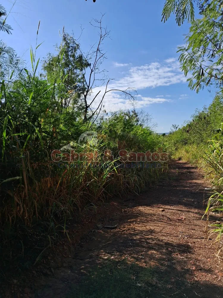 Terreno, 15 hectares - Foto 4