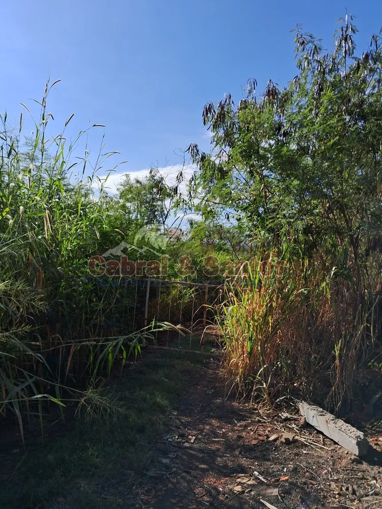 Terreno, 15 hectares - Foto 6