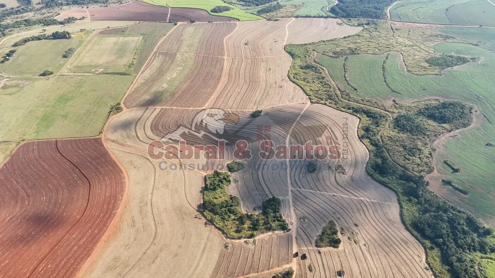 Fazenda, 78 hectares - Foto 2