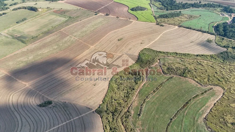 Fazenda, 78 hectares - Foto 4