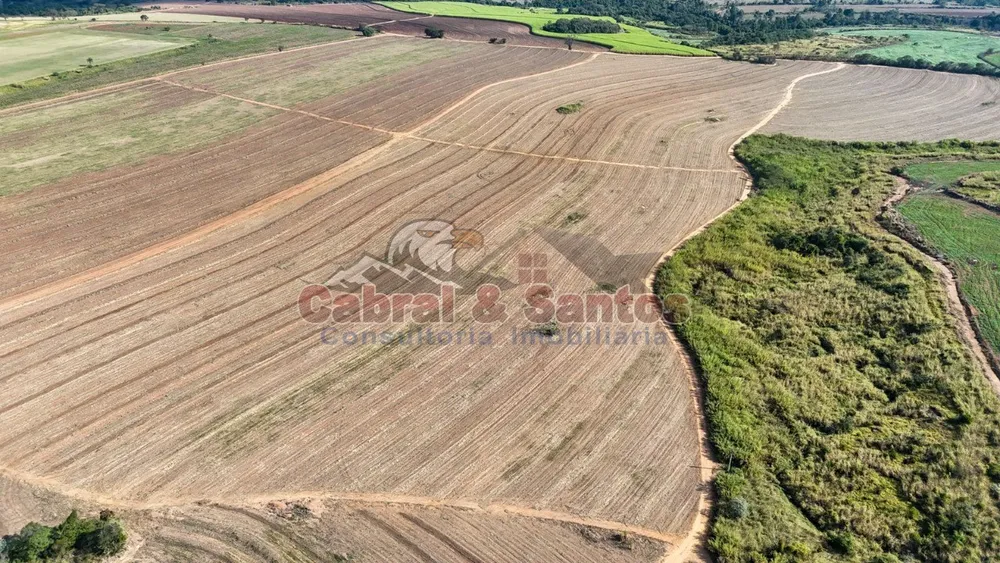Fazenda, 78 hectares - Foto 5