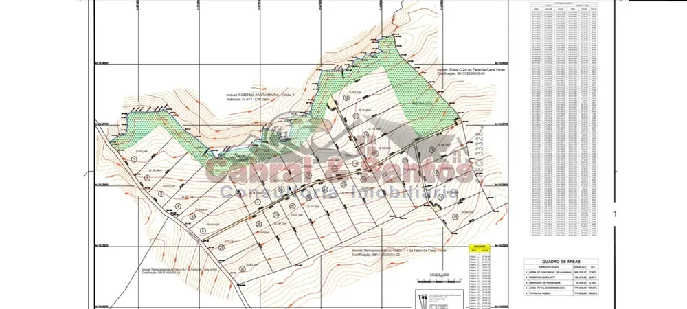 Fazenda, 78 hectares - Foto 10