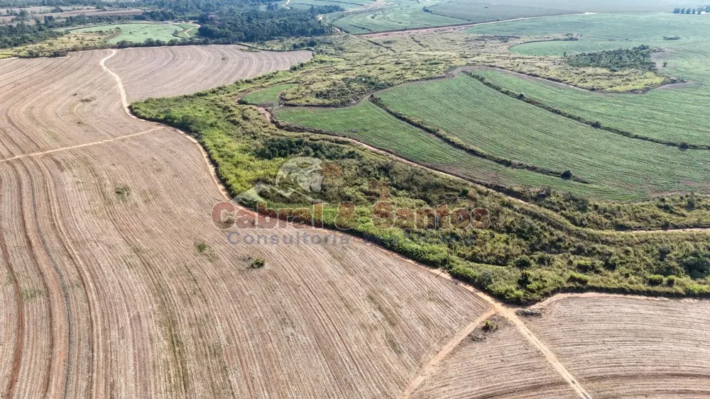 Fazenda, 78 hectares - Foto 6