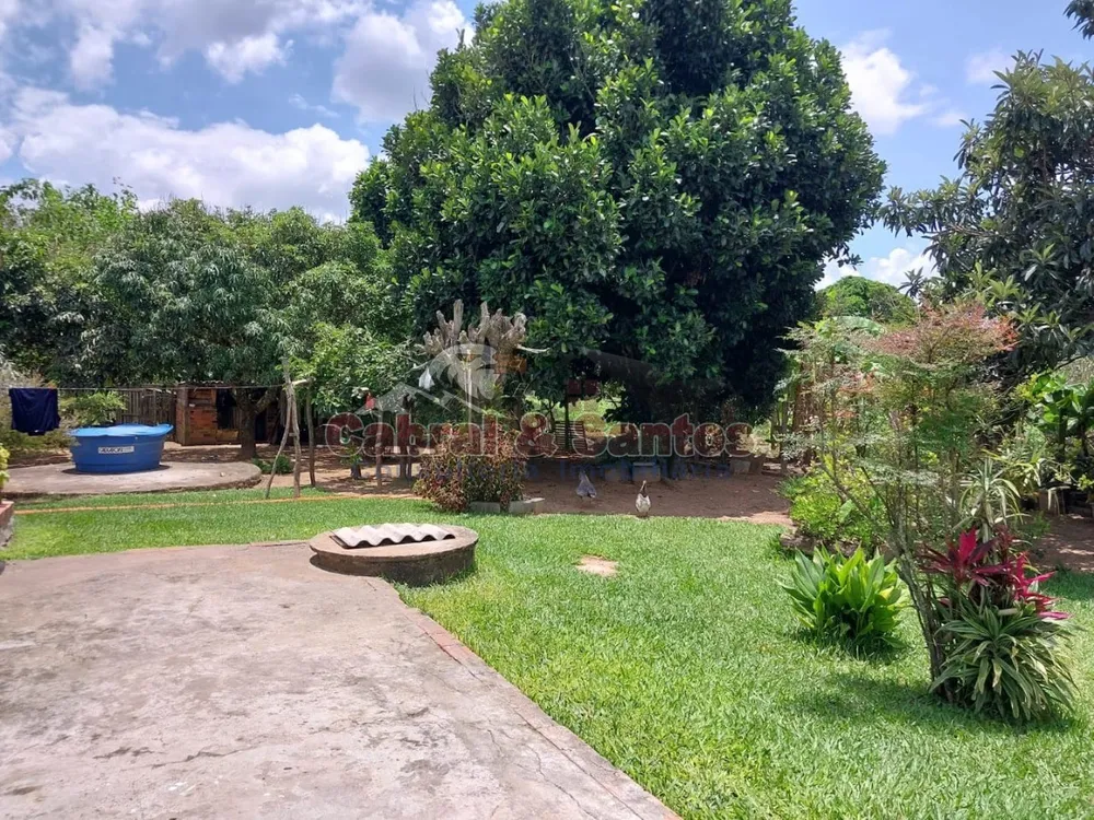 Chácara, 3 quartos, 6548 m² - Foto 6