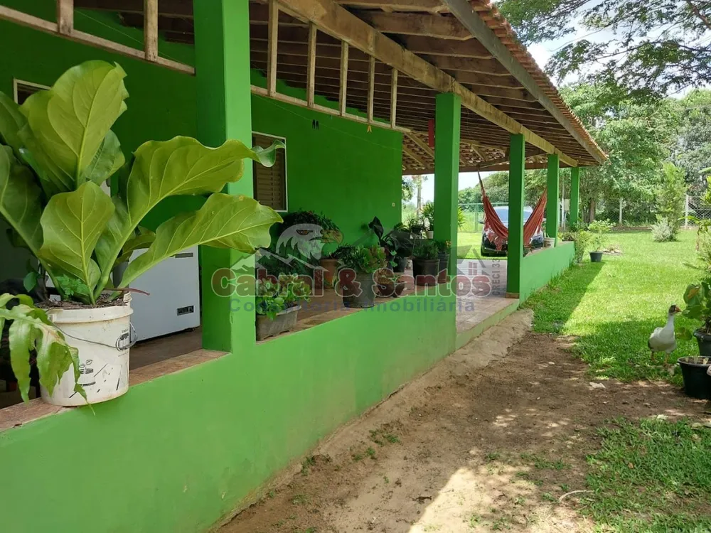 Chácara, 3 quartos, 6548 m² - Foto 5