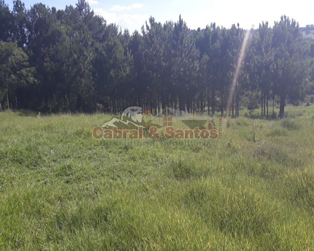 Fazenda, 3 hectares - Foto 3