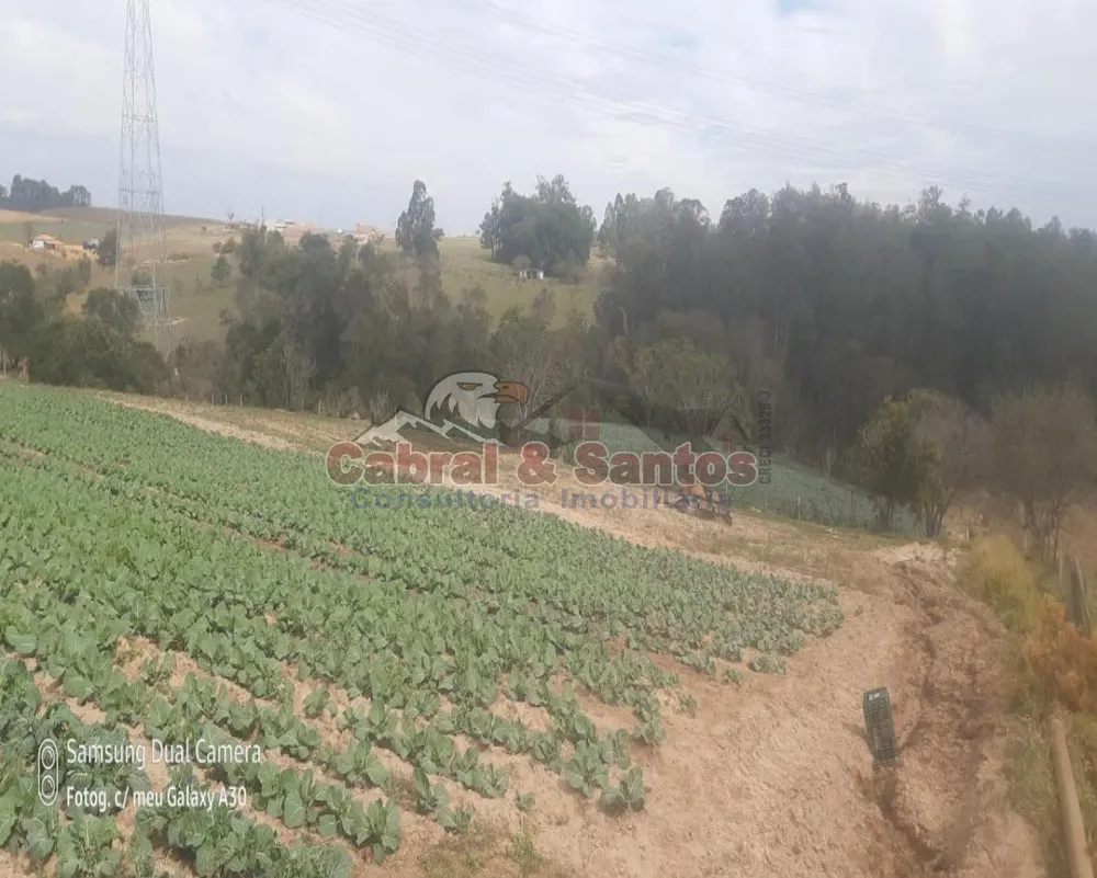 Fazenda, 8 hectares - Foto 7