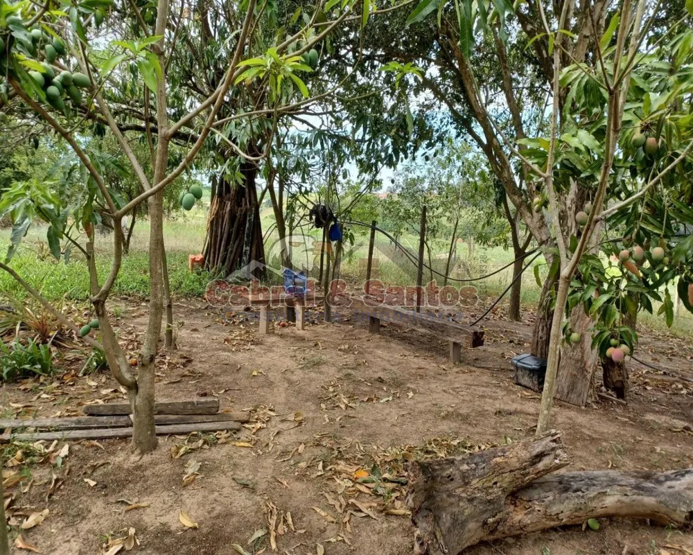 Fazenda, 8 hectares - Foto 8
