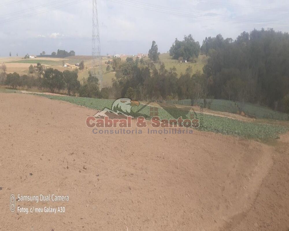Fazenda, 8 hectares - Foto 4