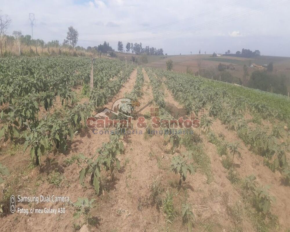 Fazenda, 8 hectares - Foto 1