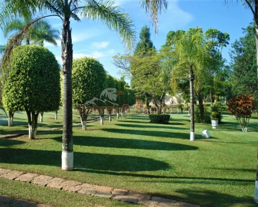 Sítio, 8 quartos, 22 hectares - Foto 12
