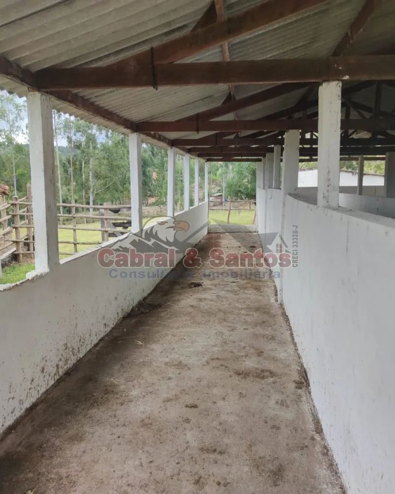Sítio, 4 quartos, 10 hectares - Foto 1