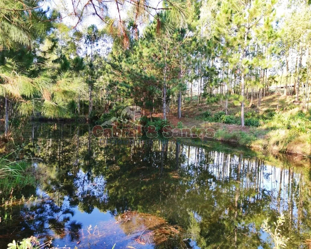 Sítio, 4 quartos, 10 hectares - Foto 9