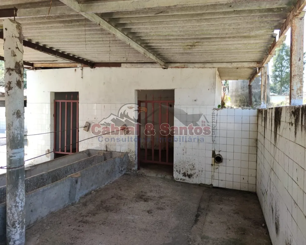Sítio, 4 quartos, 10 hectares - Foto 11