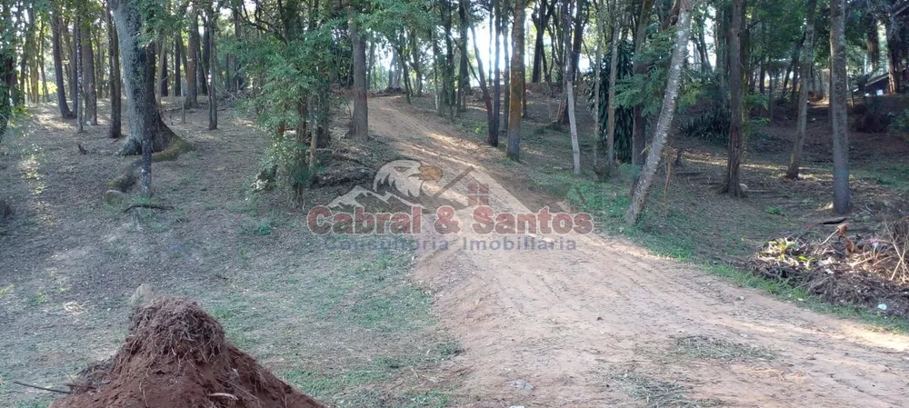 Terreno, 3000 m² - Foto 3