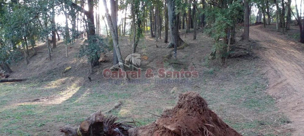 Terreno, 3000 m² - Foto 2