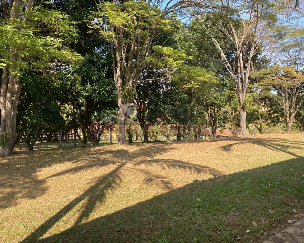 Sítio, 4 quartos, 250 m² - Foto 9