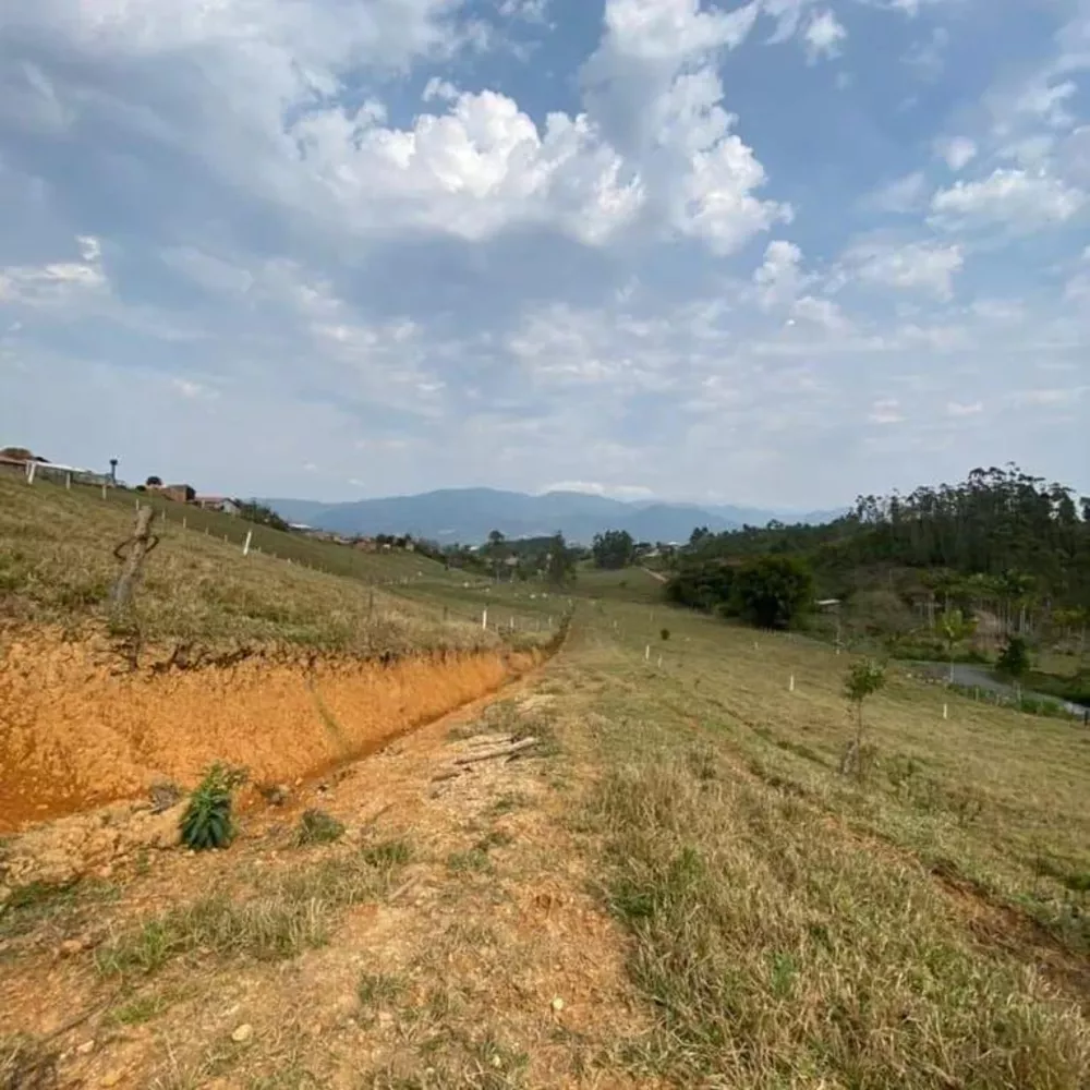 Terreno, 3 hectares - Foto 2