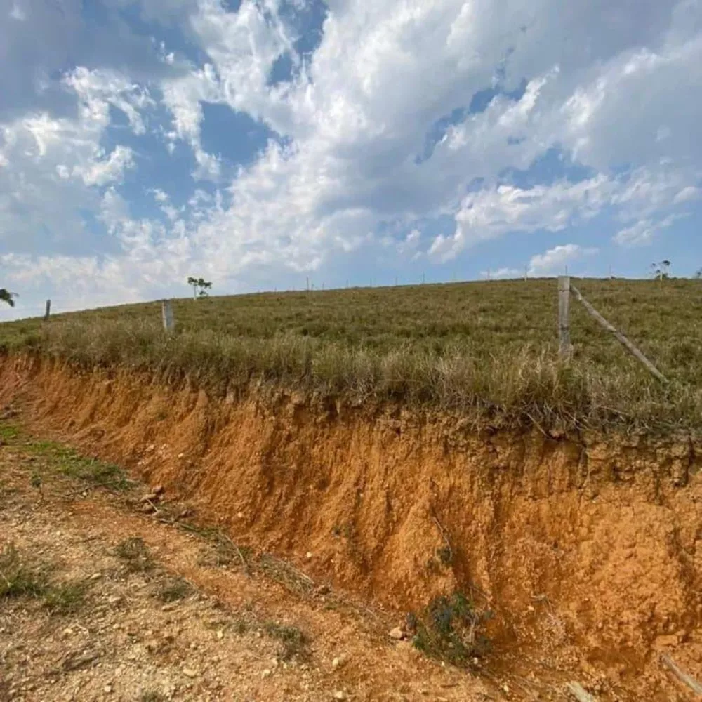 Terreno, 3 hectares - Foto 1