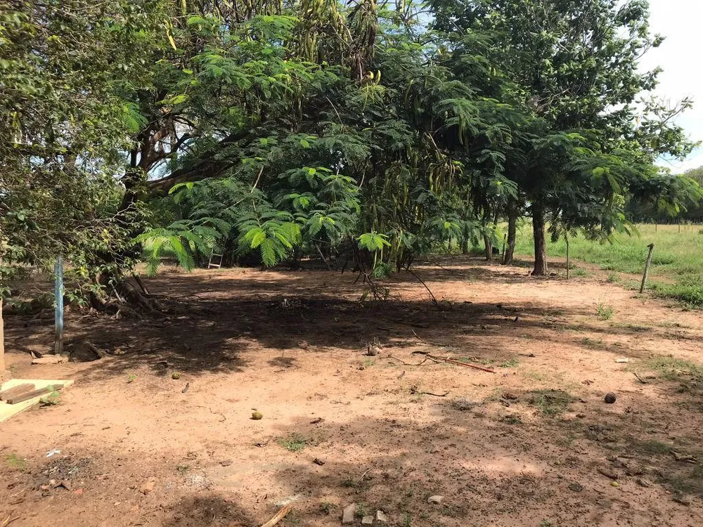 Terreno, 6 hectares - Foto 2