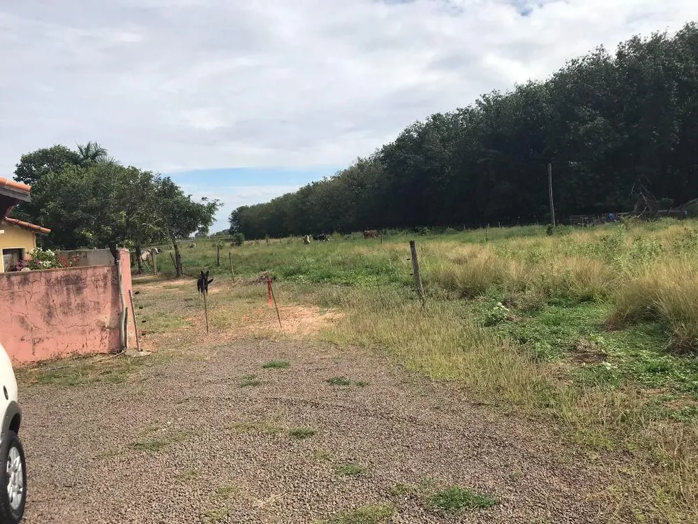 Terreno, 6 hectares - Foto 4