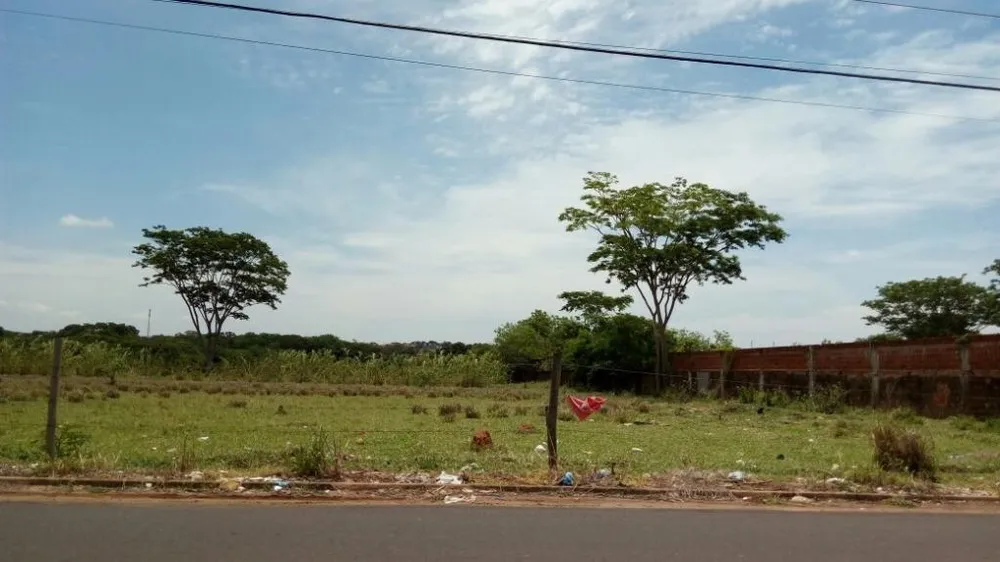 Terreno, 2 hectares - Foto 2