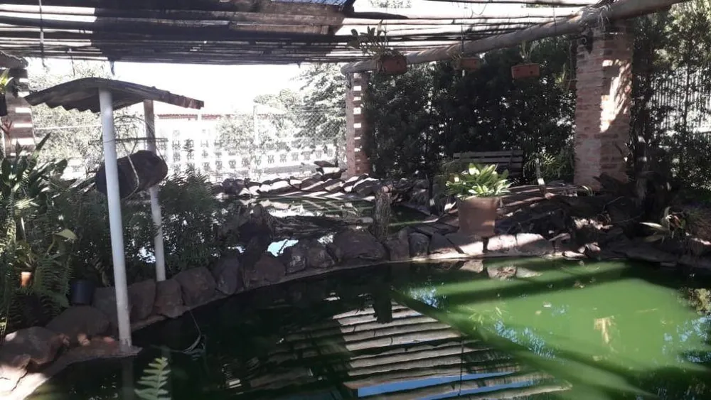 Chácara, 2 quartos, 1150 m² - Foto 3