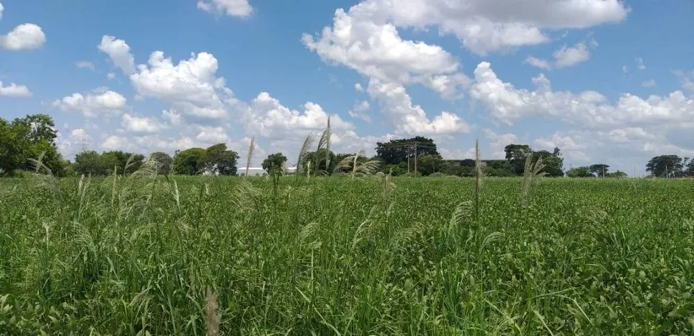 Terreno, 5000 m² - Foto 2
