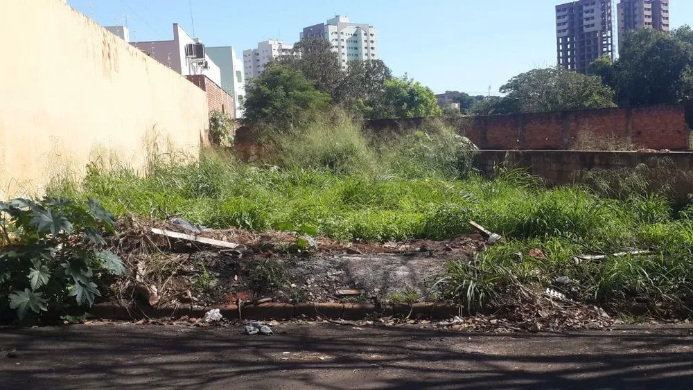 Terreno, 600 m² - Foto 2