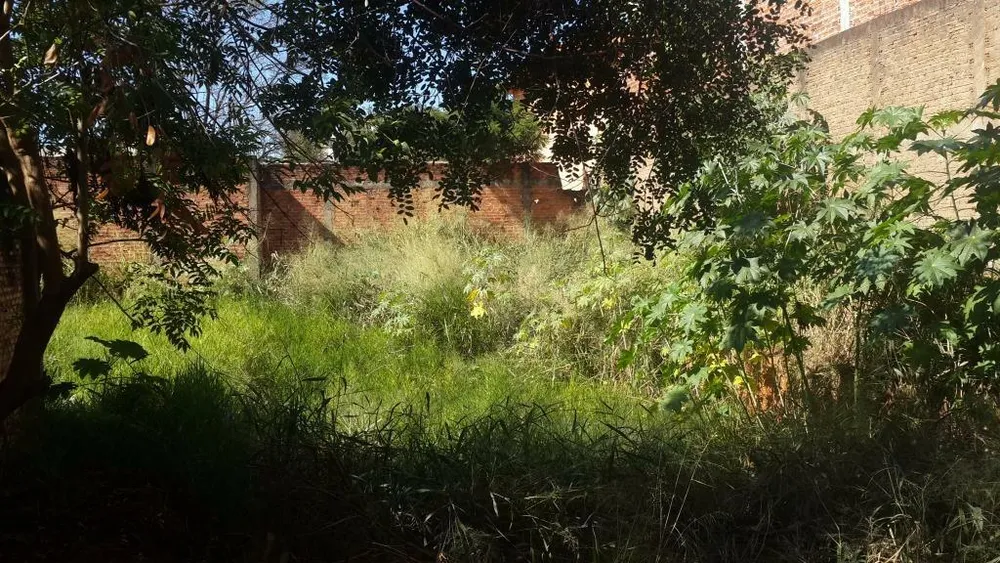Terreno, 600 m² - Foto 3