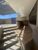 Apartamento, 4 quartos, 543 m² - Foto 3
