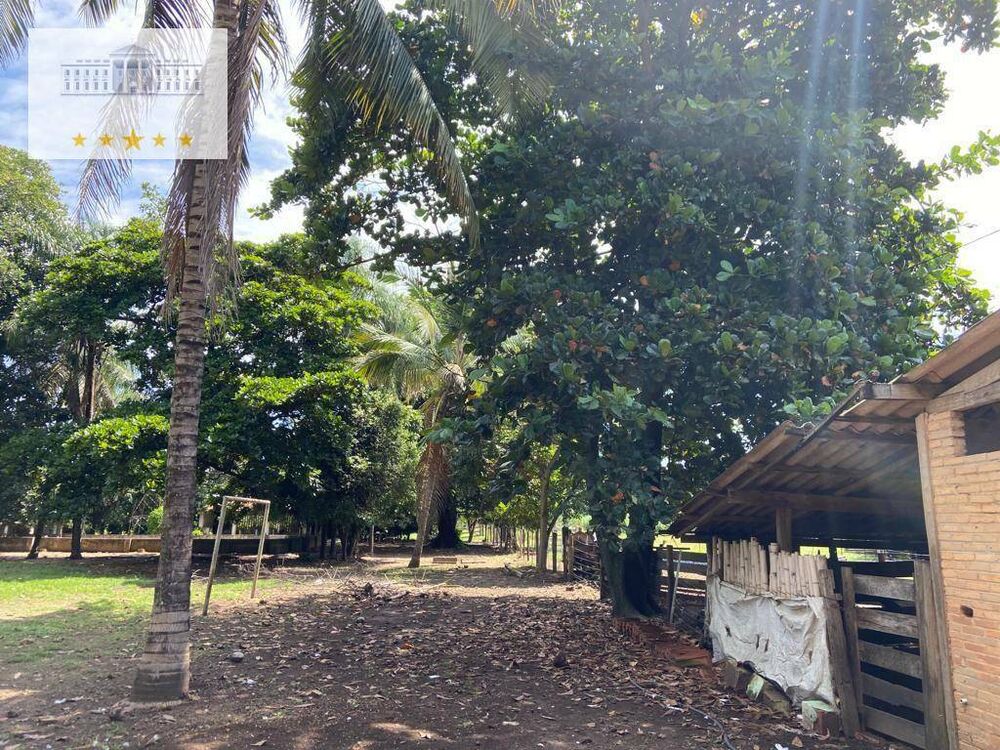Chácara à venda, 10000M2 - Foto 4