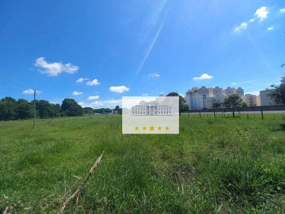 Terreno, 3 hectares - Foto 6