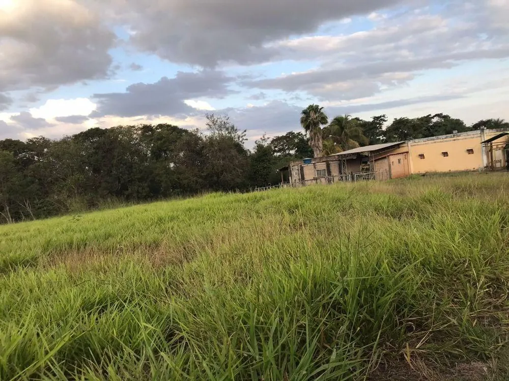 Terreno, 2 hectares - Foto 4
