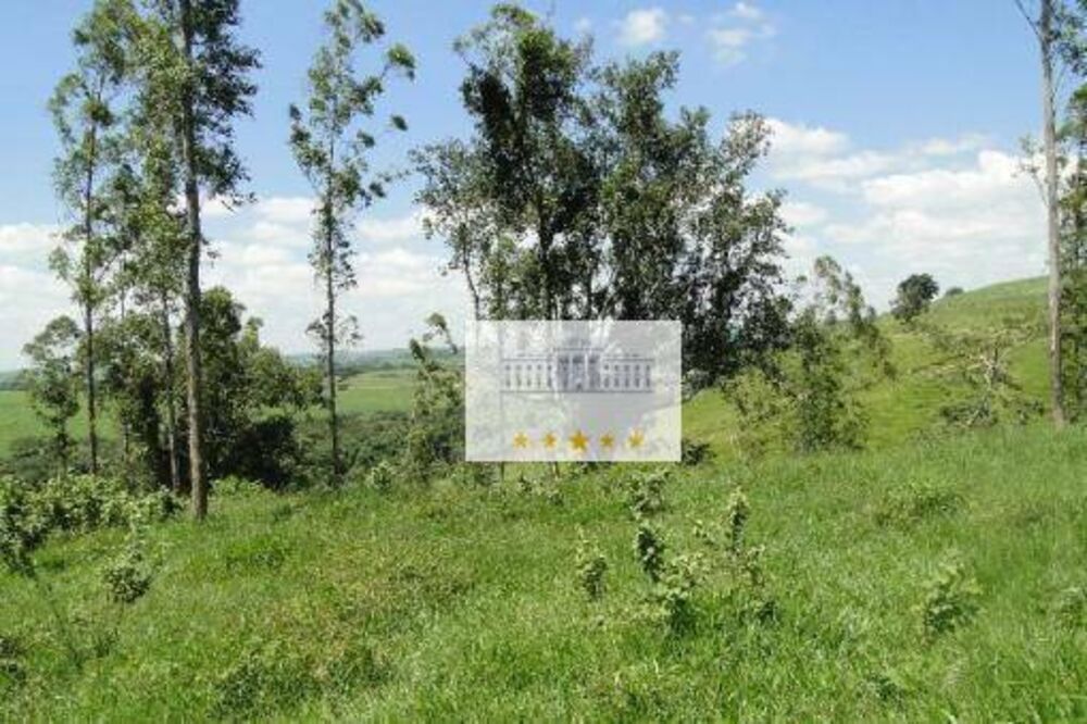 Sítio, 31 hectares - Foto 2