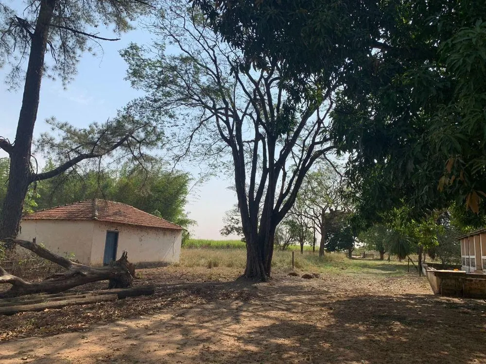 Chácara, 4 quartos, 8 hectares - Foto 1