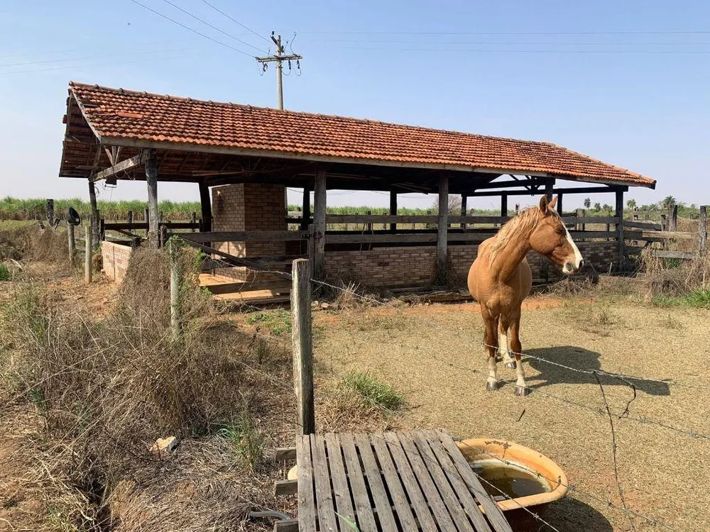 Chácara, 4 quartos, 8 hectares - Foto 3