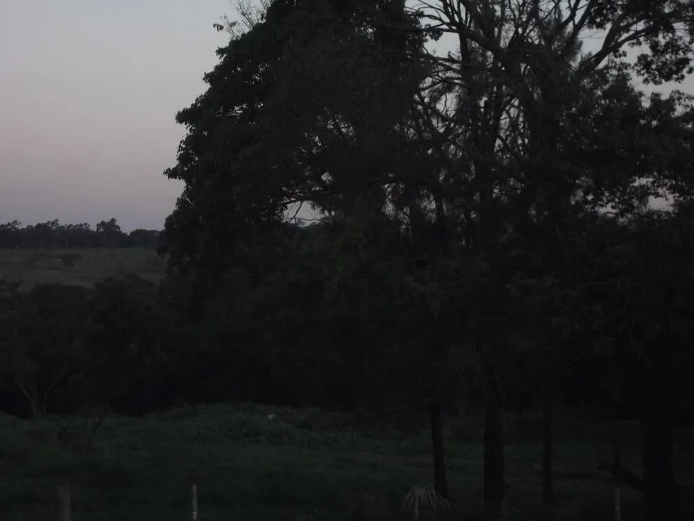 Terreno, 1 hectares - Foto 4