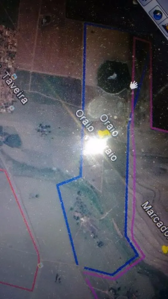 Terreno, 82 hectares - Foto 3