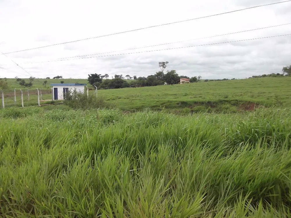 Terreno, 3 hectares - Foto 4