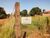 Terreno, 1100 m² - Foto 4