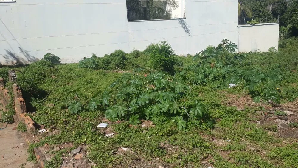 Terreno, 600 m² - Foto 4