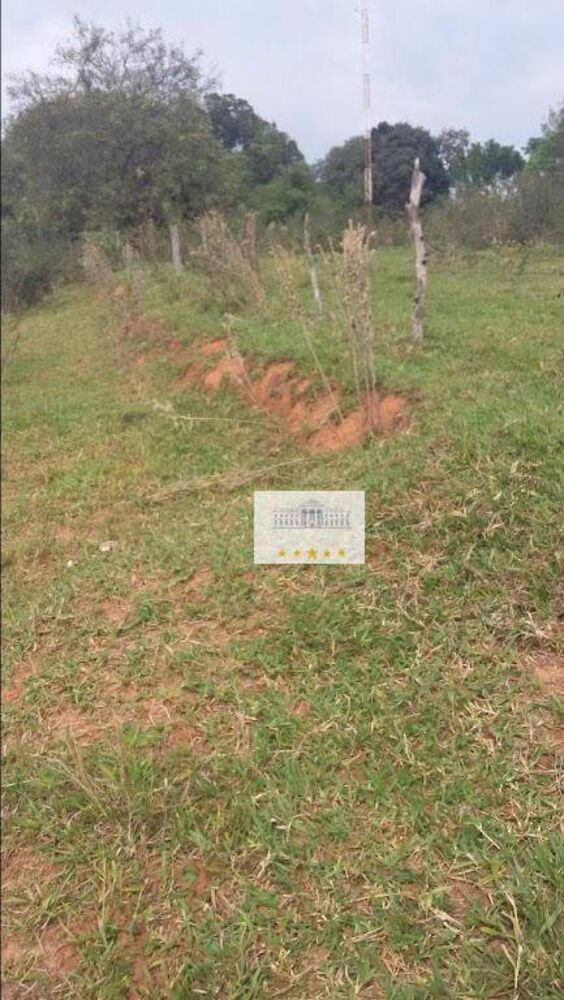 Terreno, 4 hectares - Foto 1