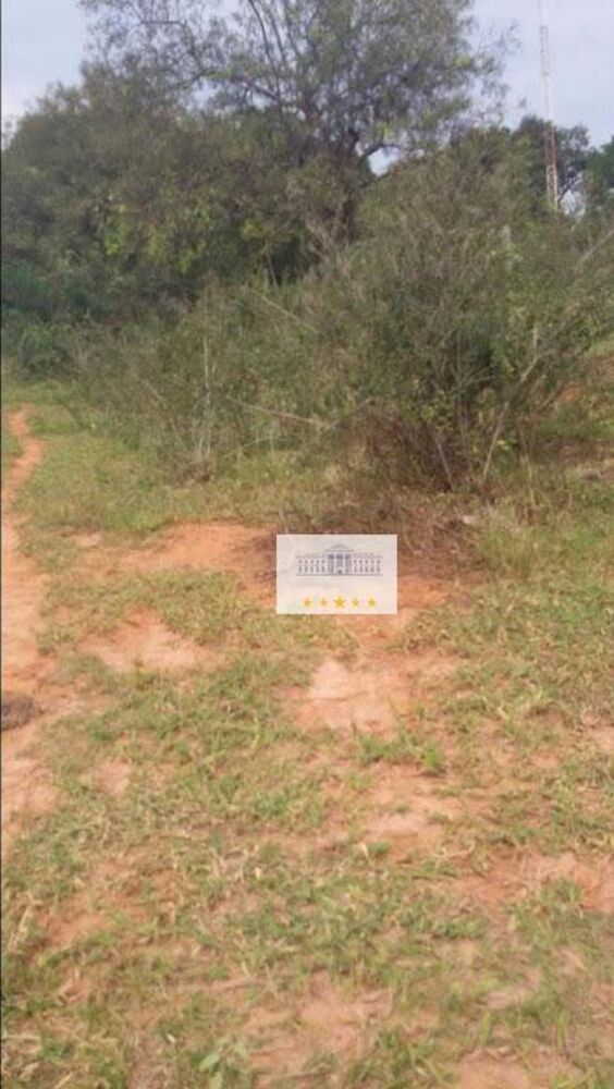 Terreno, 4 hectares - Foto 2