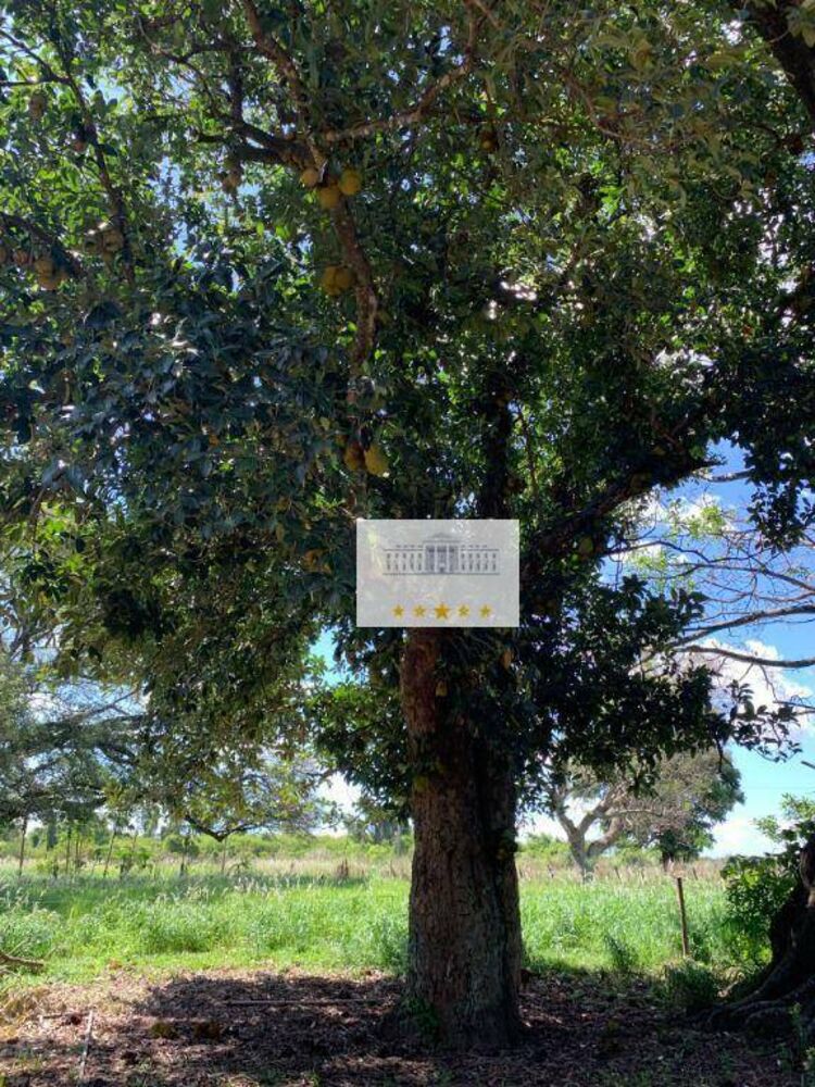 Sítio à venda com 4 quartos, 81100M2 - Foto 3