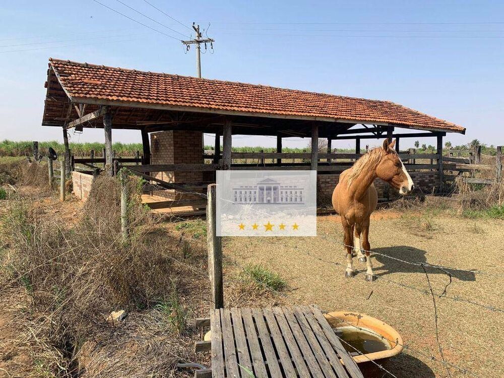 Sítio à venda com 4 quartos, 81100M2 - Foto 7