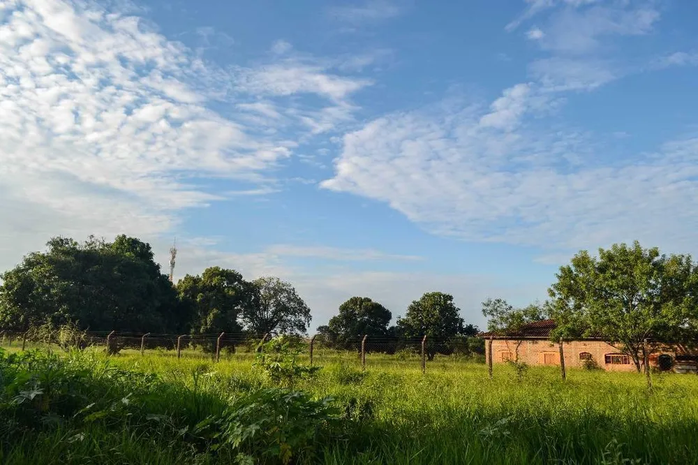 Terreno, 1 hectares - Foto 3